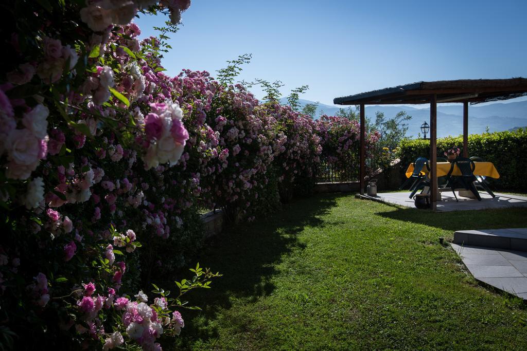 Agriturismo Vita Nova Vicchio Szoba fotó