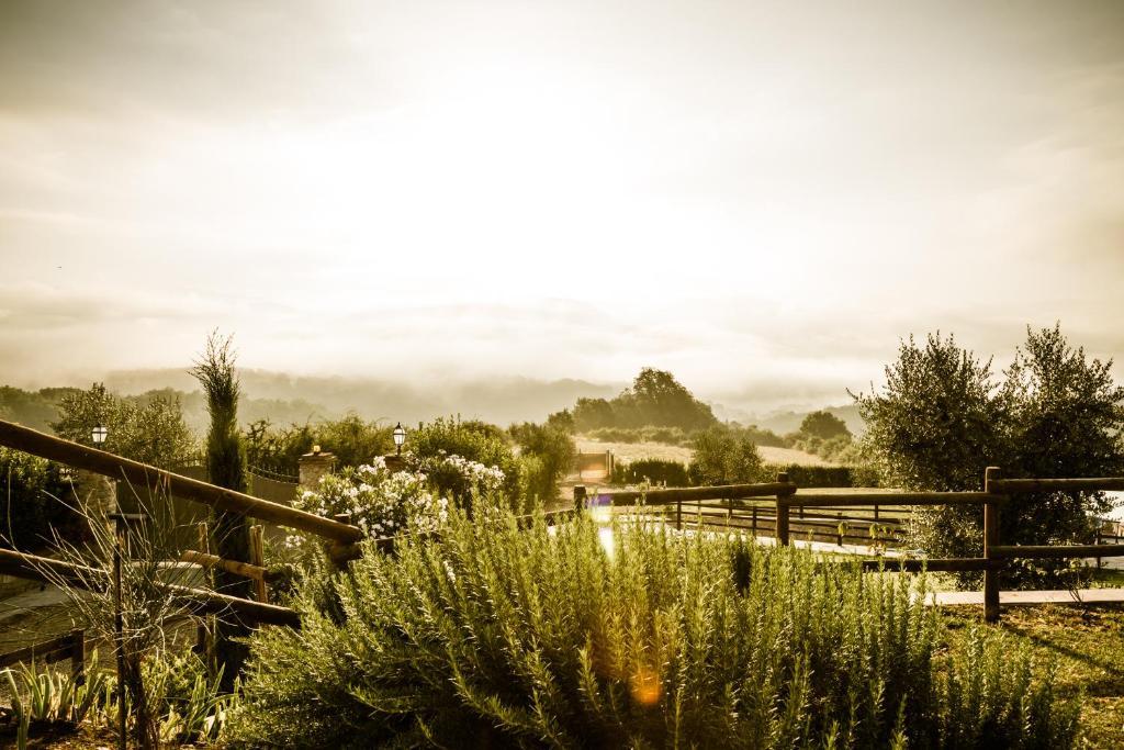 Agriturismo Vita Nova Vicchio Kültér fotó